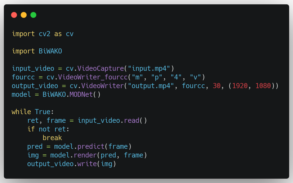 video demo